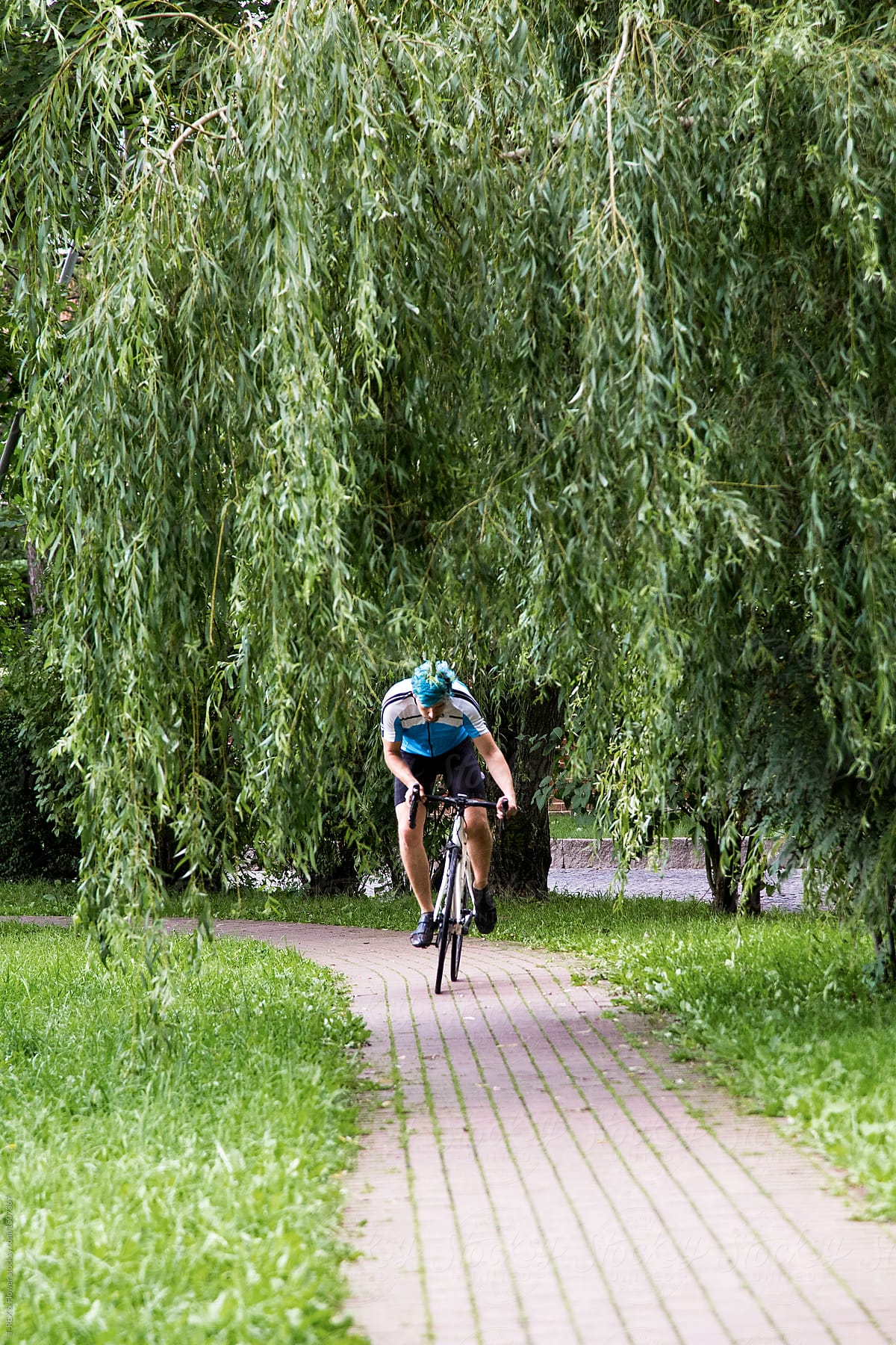 man riding bike under trees