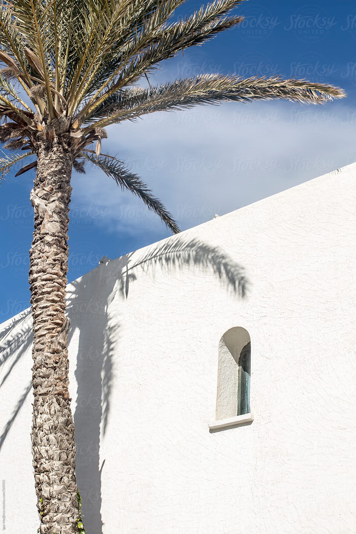 minimalism,palm and window,traditional North African architecture