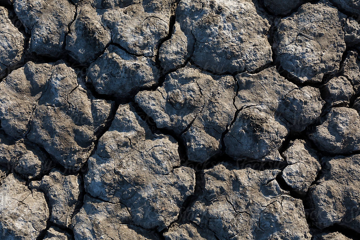 Dried earth surface background