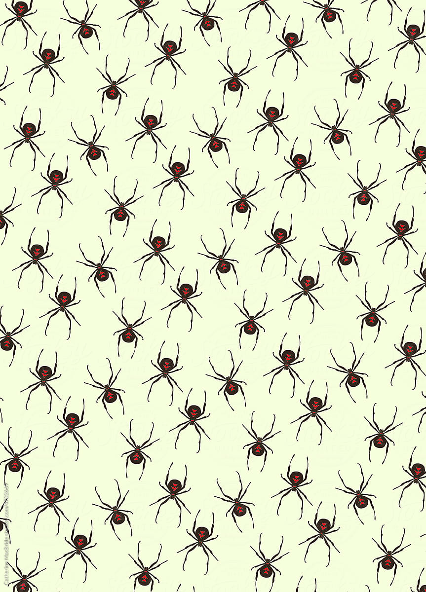 Illustrated Spider Pattern on Cream Background