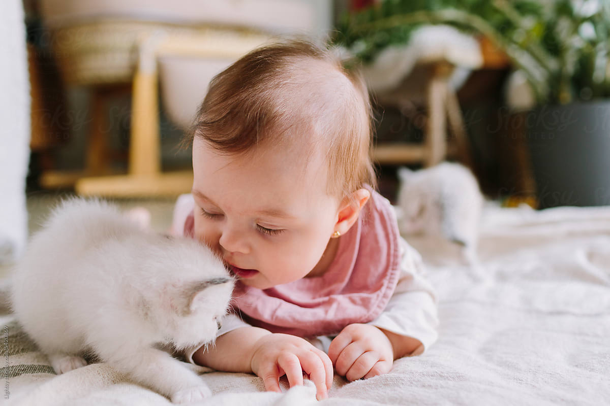 Baby trying to kiss a kitten