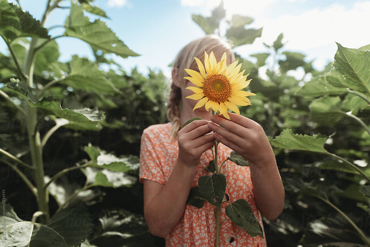 girl standing in sunflower crop
