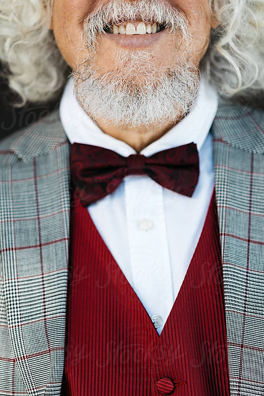 Crop smiling man with beard wearing bow-tie.