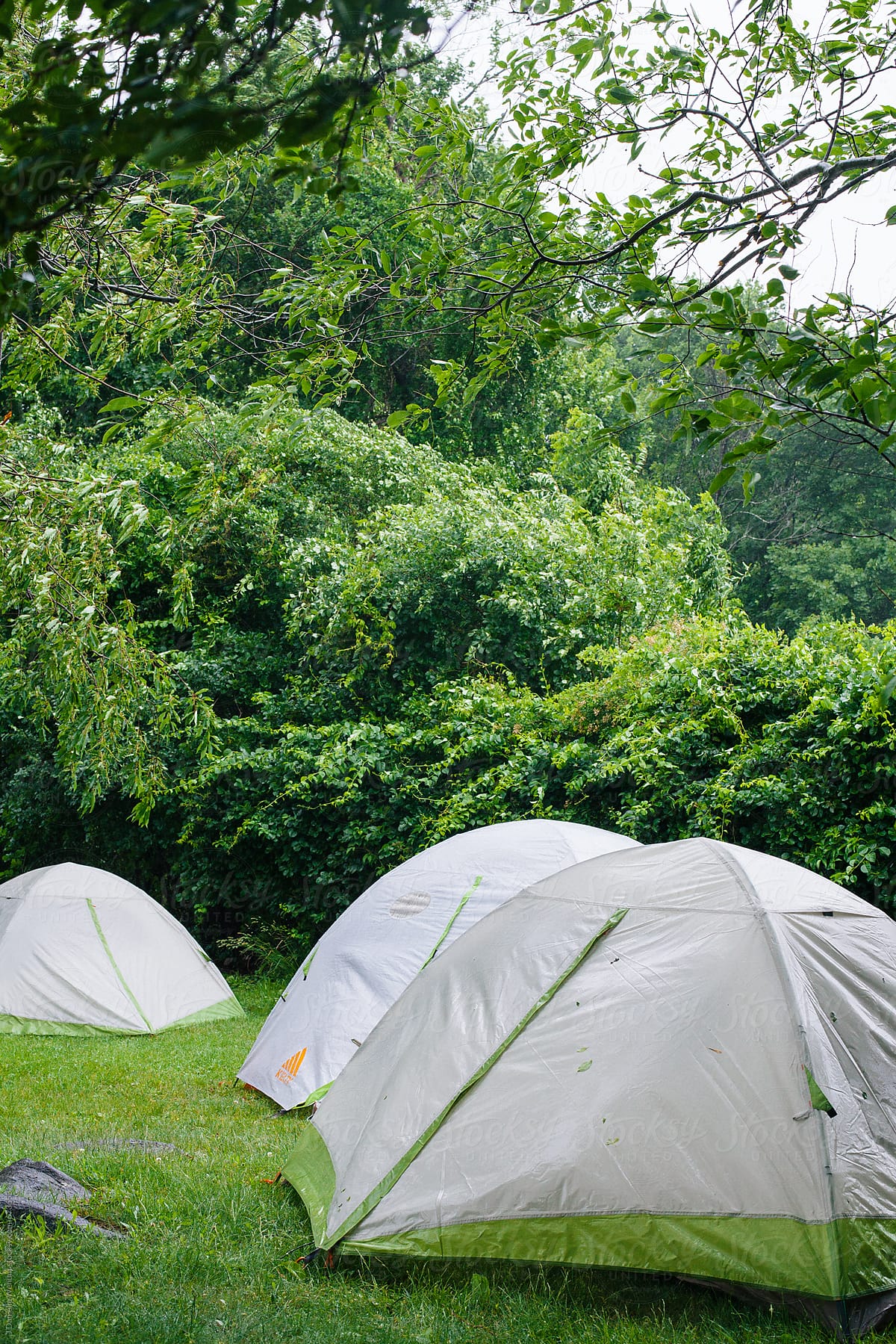 Tents in the rain at a camping ground.