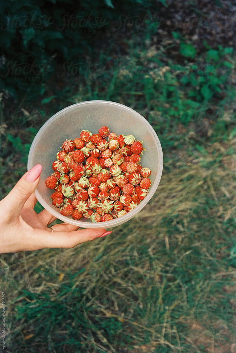 Bowl of wild strawberry