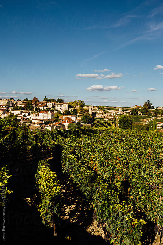 A Town and the Vineyard
