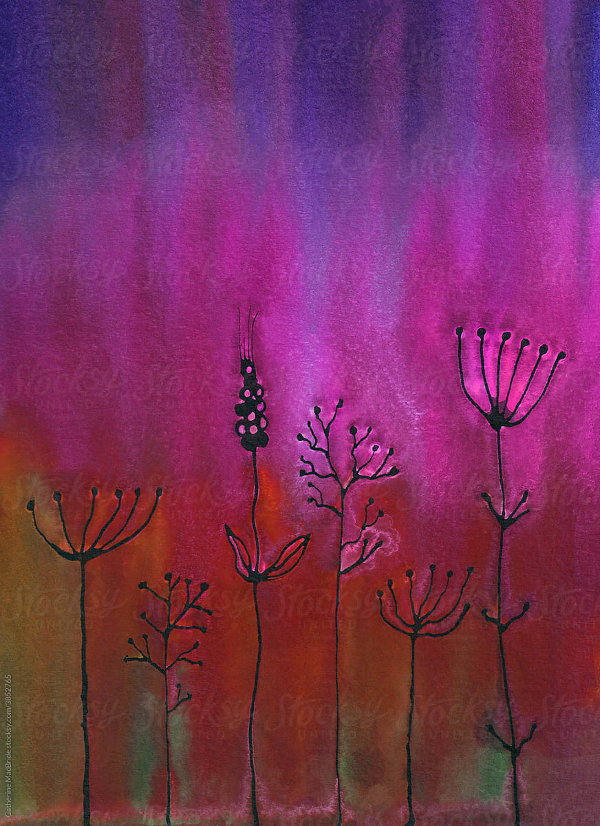 Weeds and Flower seed heads in Watercolor