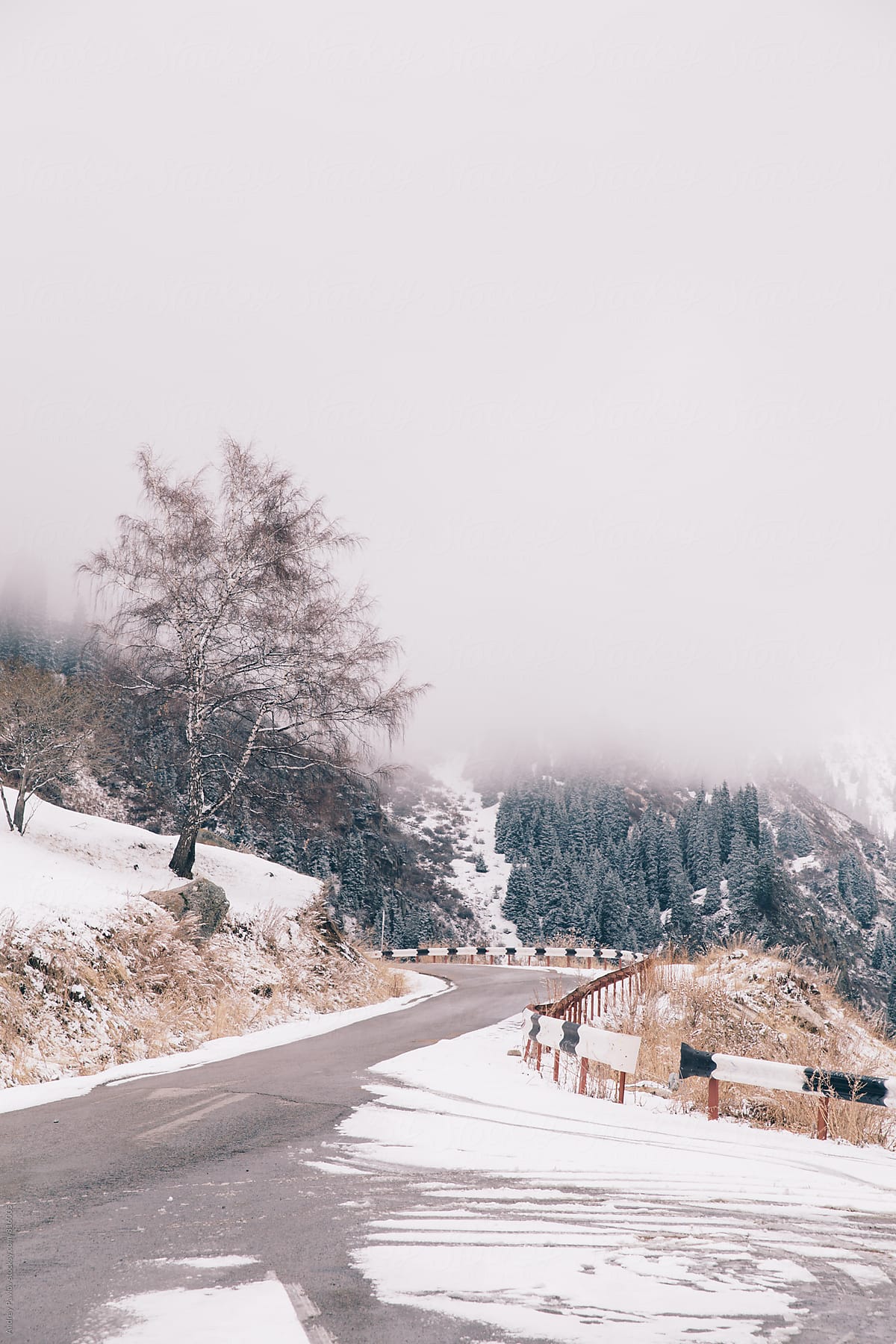 Beautiful photo of winter road
