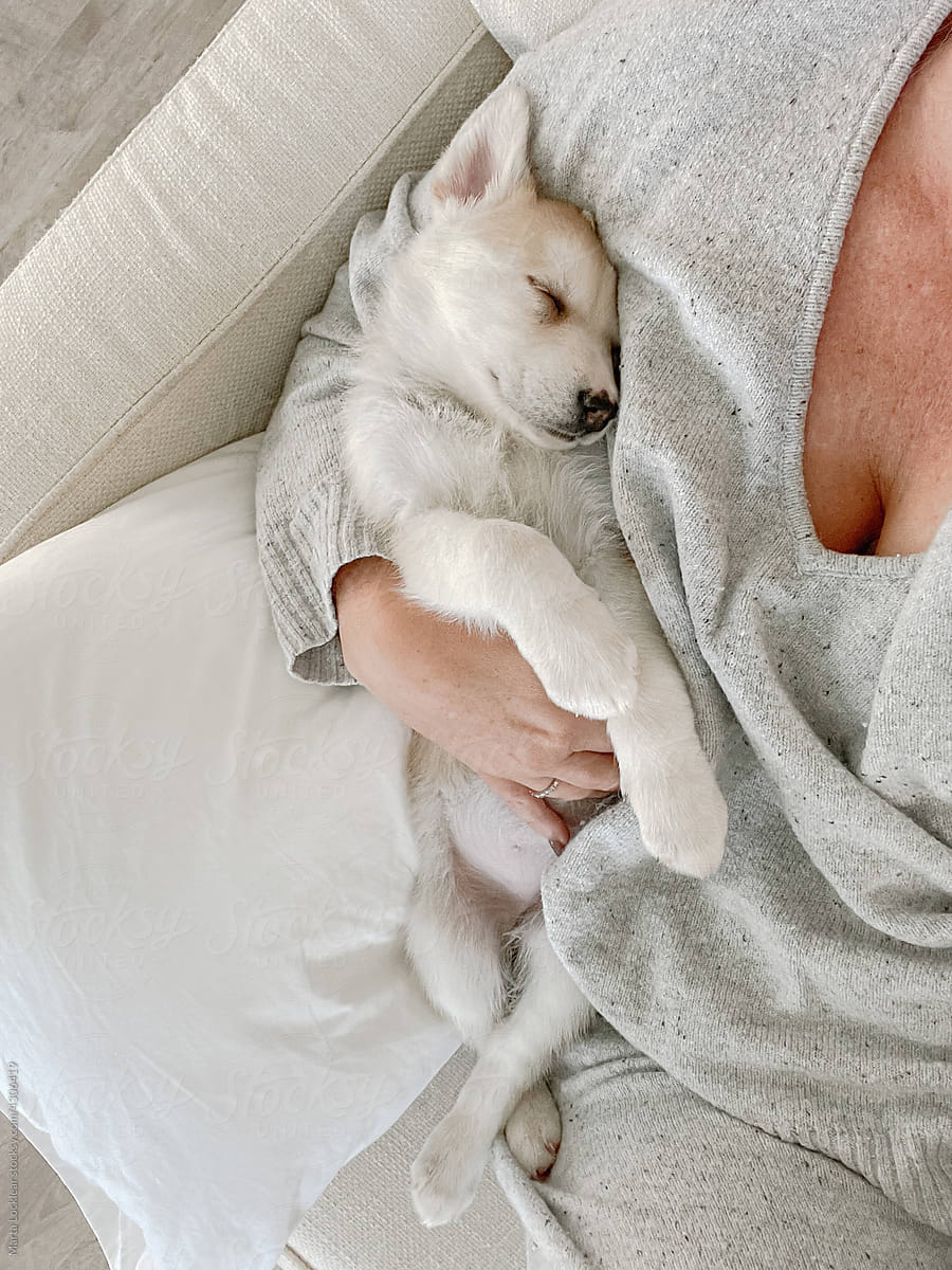 Puppy cuddled in the crook of an arm