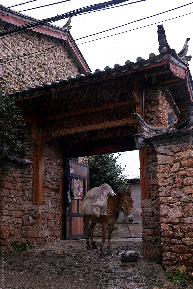 Ancient village buildings and horses, in Lijiang, Yunnan. It's raining