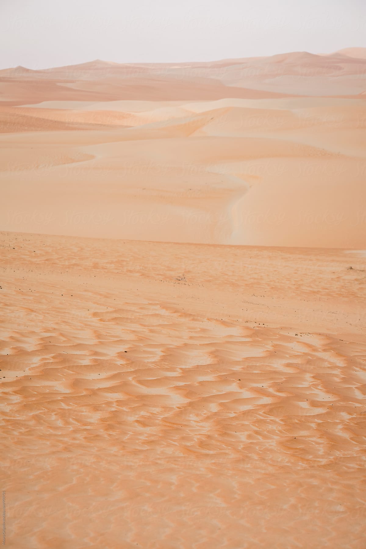Desert dunes. copy space