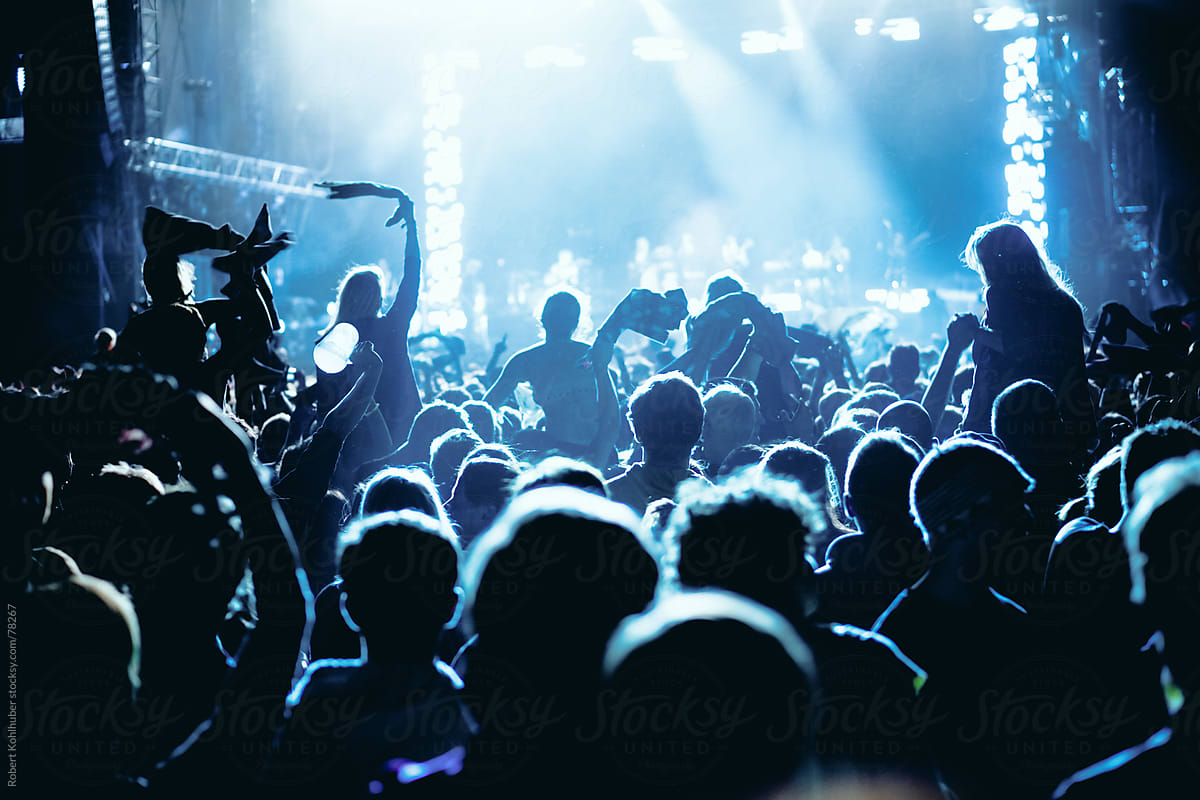 Concert crowd at live music festival