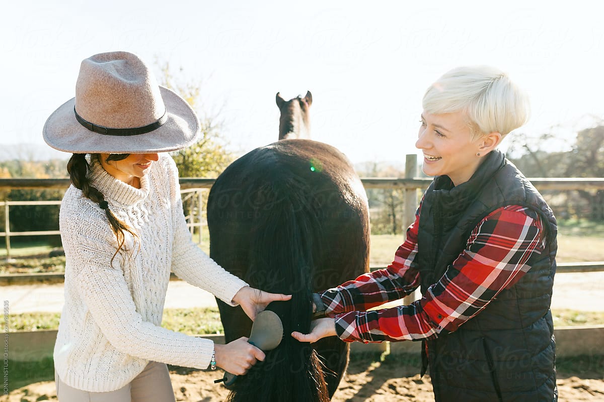Women brushing their horse in a ranch on a sunny day.