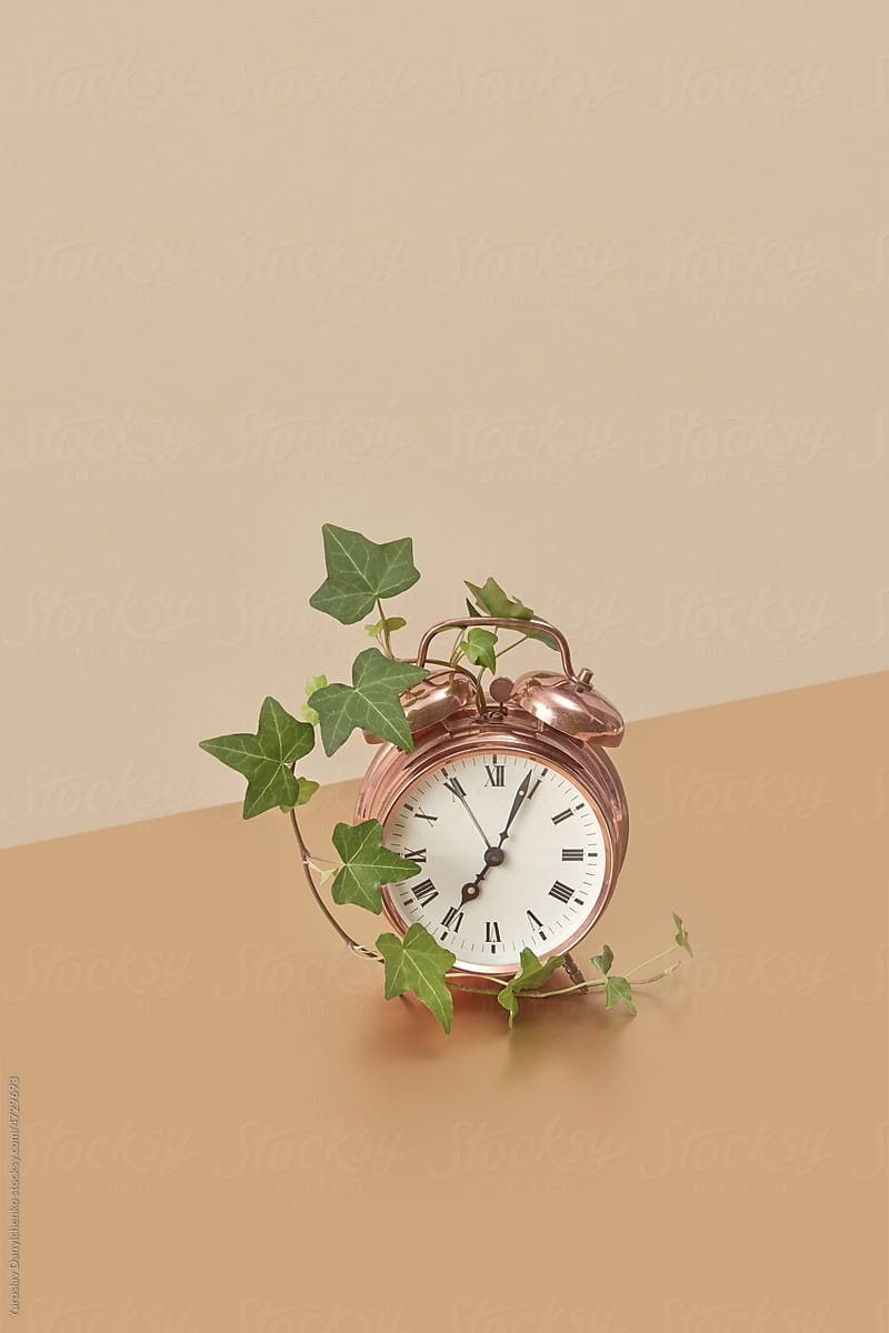 Vintage copper alarm clock with green vine.