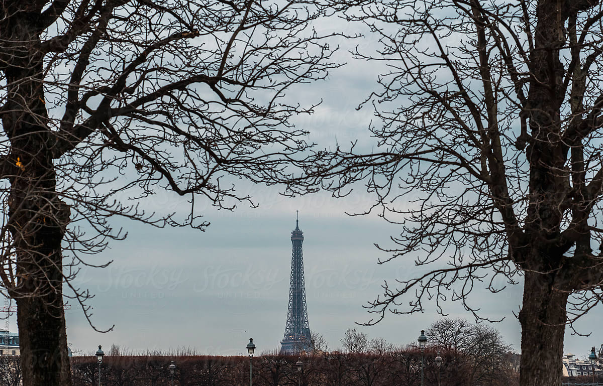 Eiffel Tower between leafless trees under cloudy sky