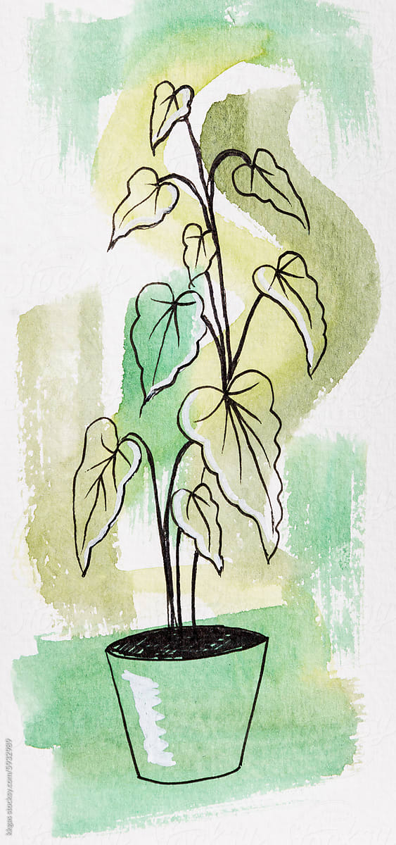 Watercolor painting house plant