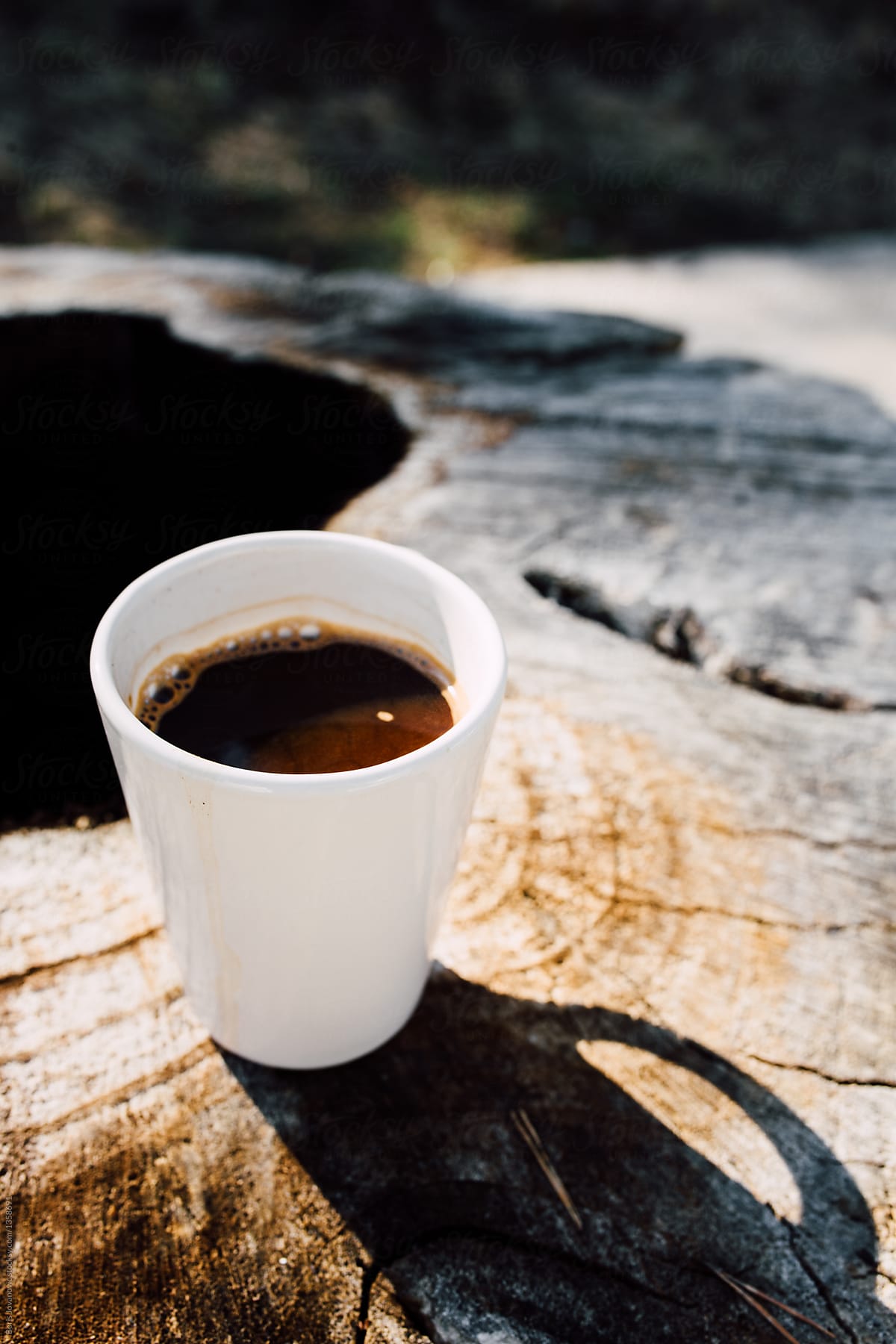 Cup of coffee on a tree stump