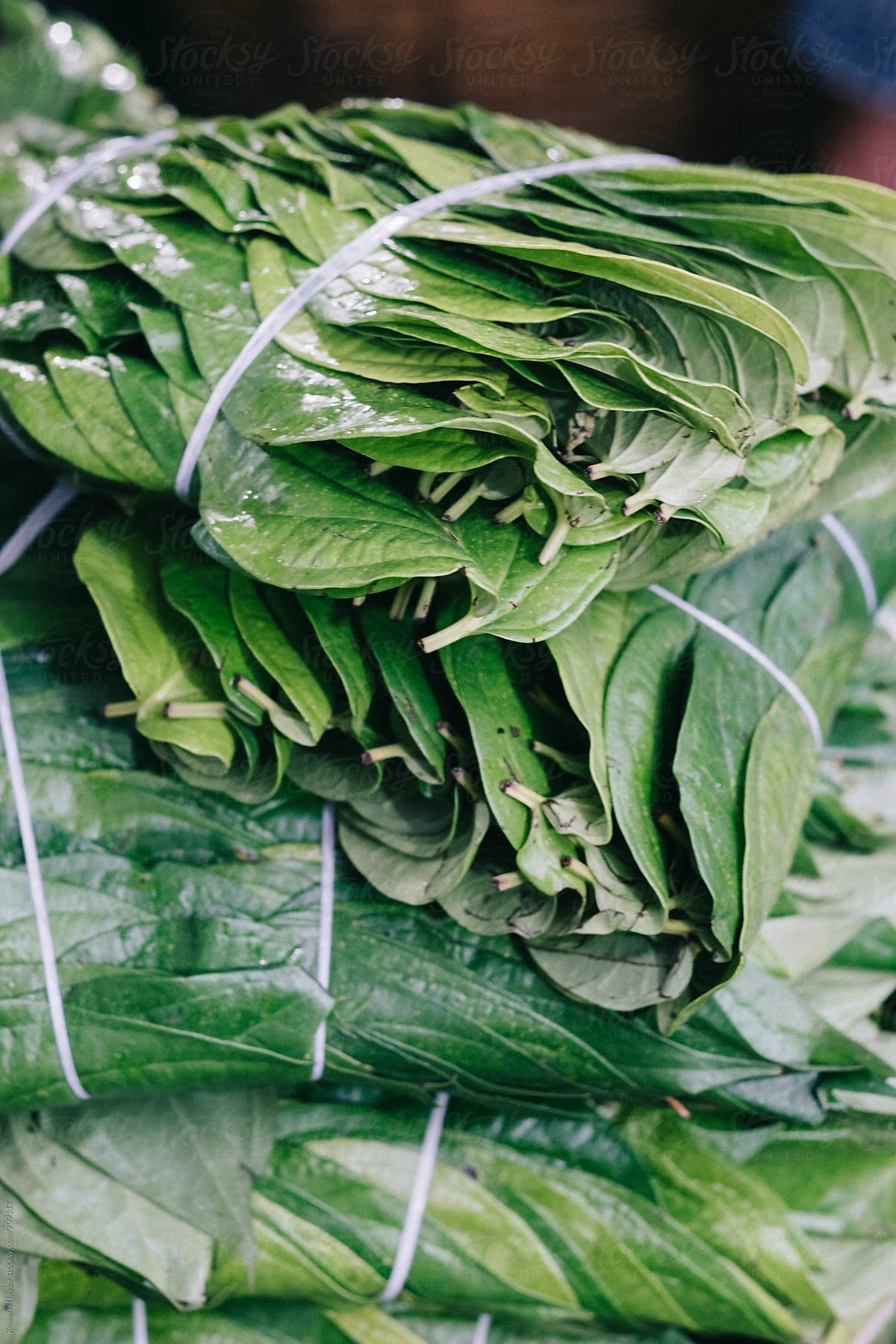 Betel Leaves at street market in Cambodia
