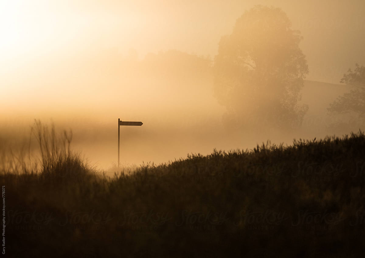Lone Street Sign Silhouetted in an Australian Dawn