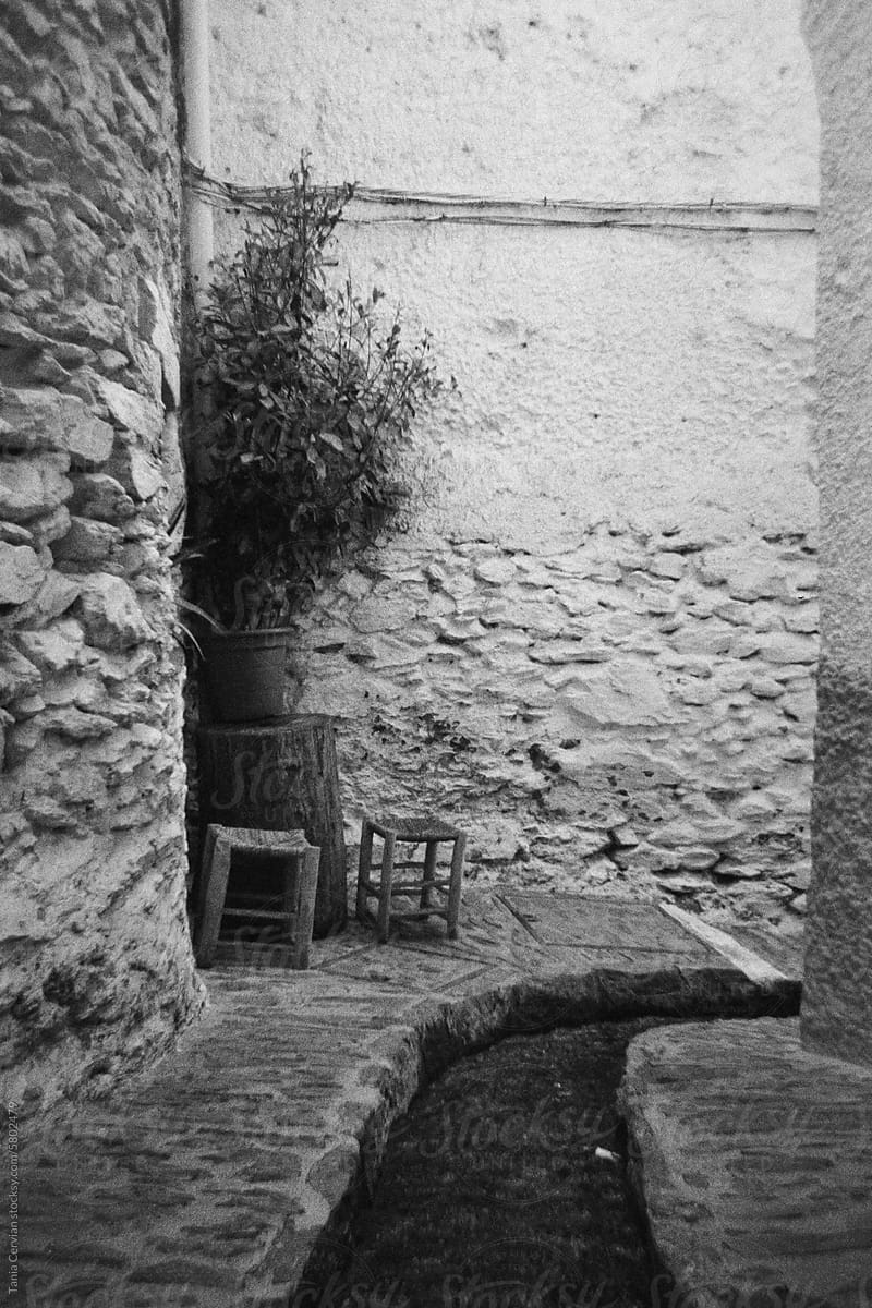 Film photography of wooden stools and potted plant by old stone wall