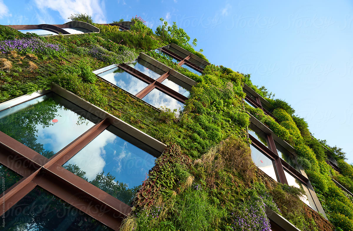Vertical garden living green wall - urban facade climate adaptation