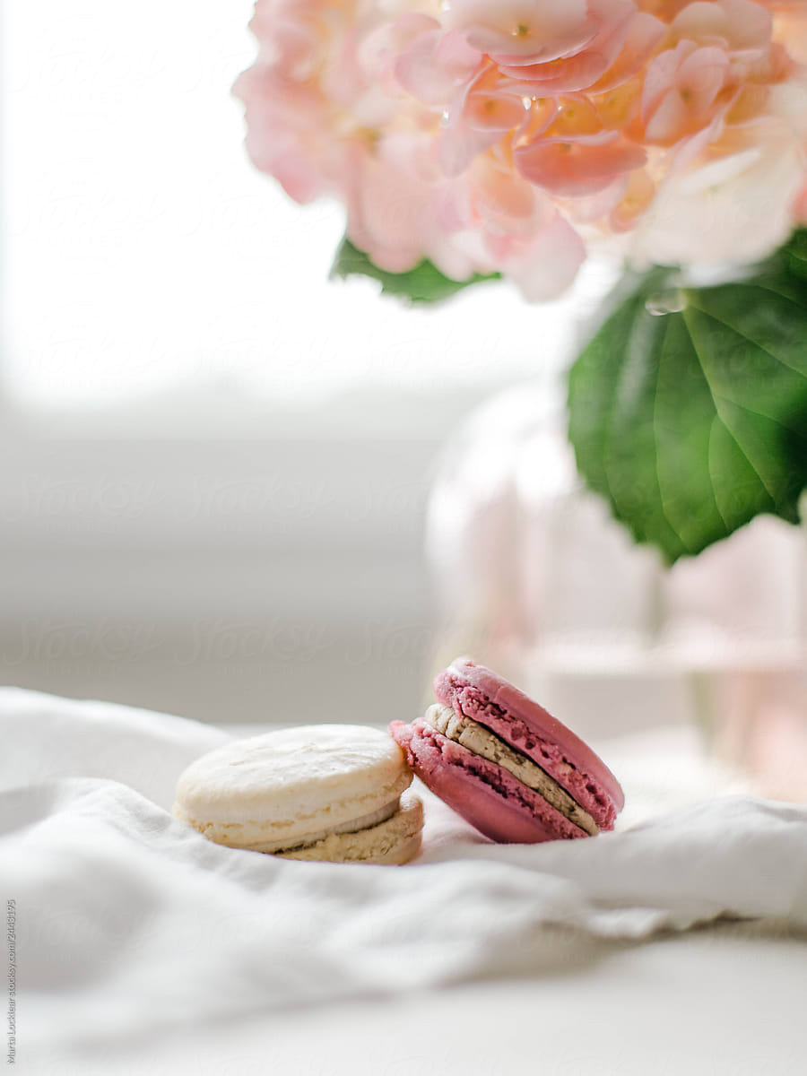 Pink Hydrangea flowers and French Macarons