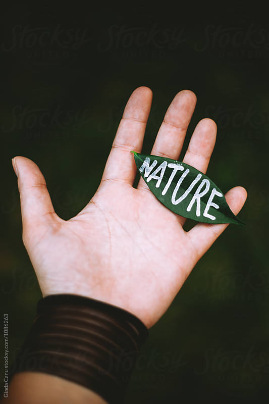 Hand holding a leaf with the word\