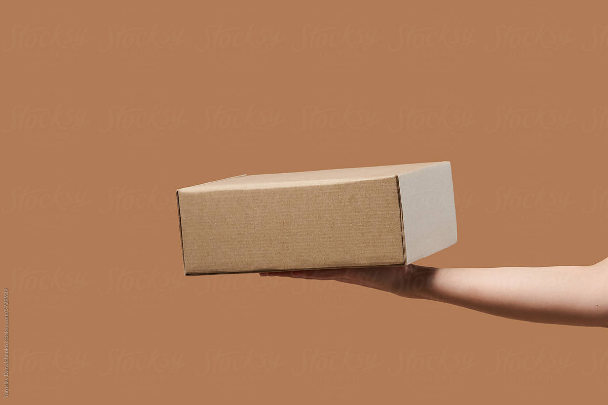 Cardboard parcel box lying on female palm