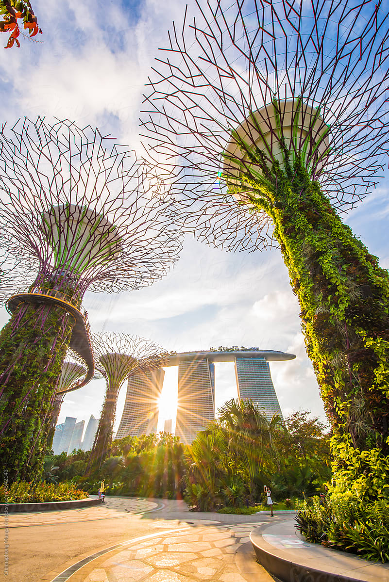 Garden By The Bay in Singapore