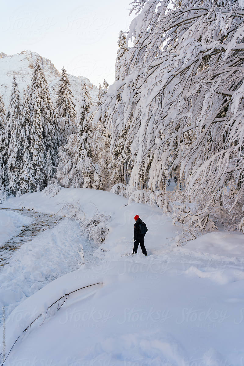 Hiker walk in a Snowy landscape