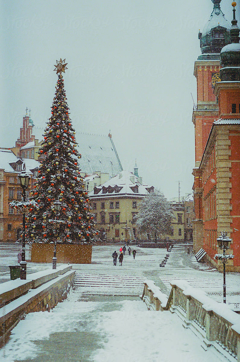 Christmas tree on town square in Warsaw