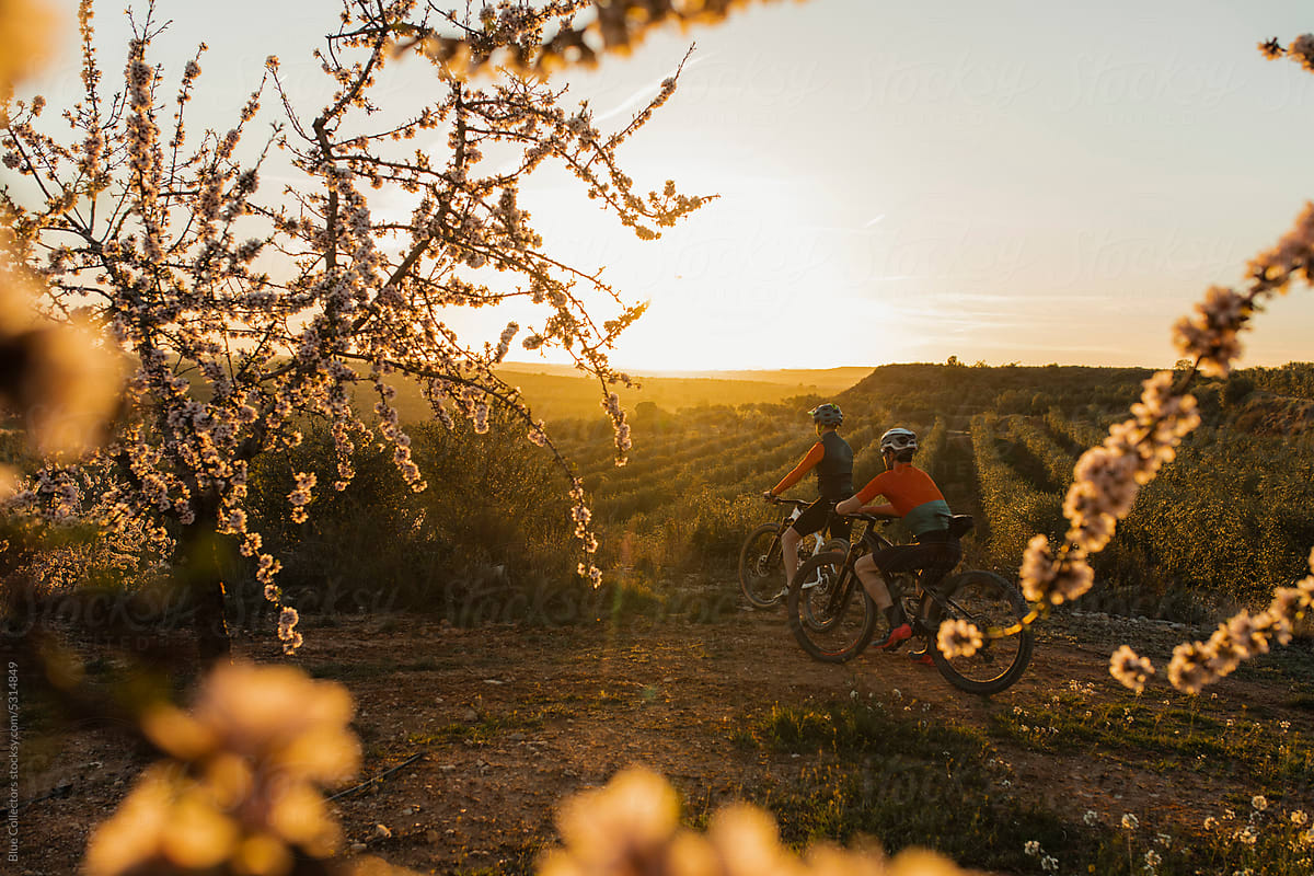 Mountain bikers at sunrise