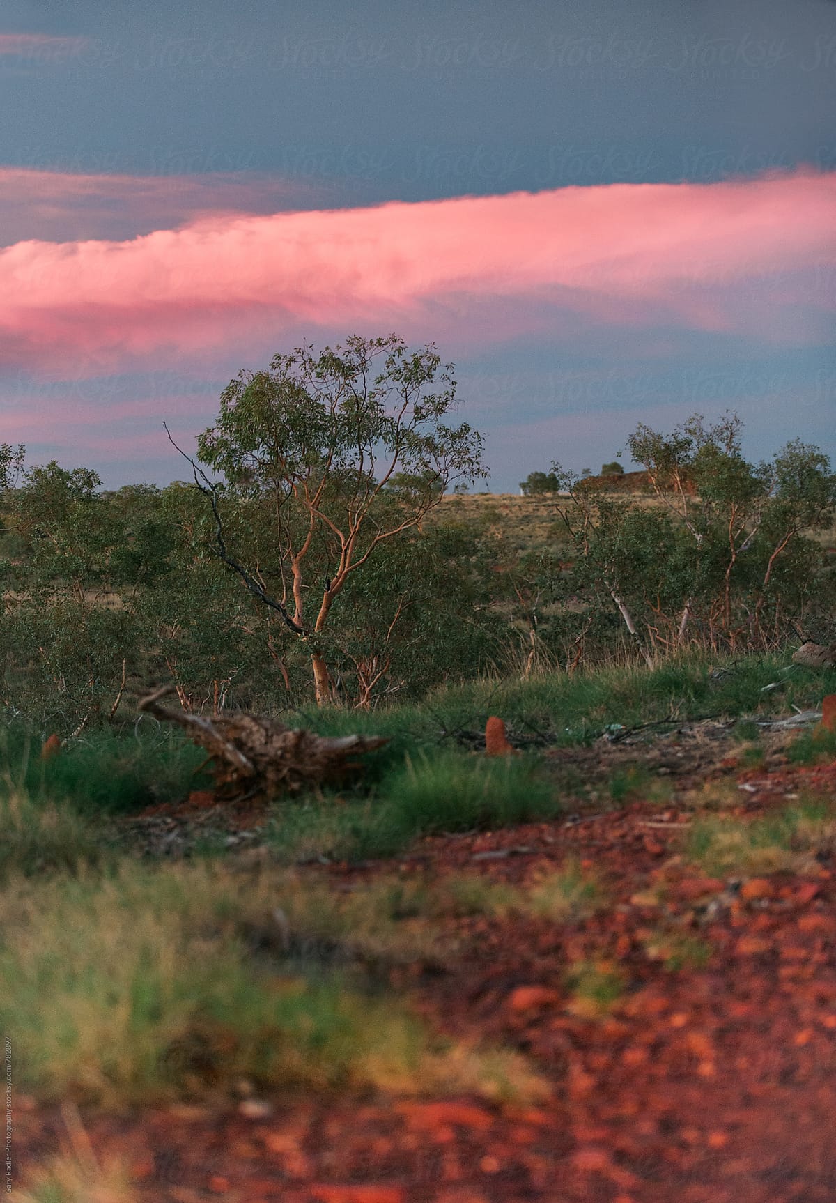 Pink Cloud over The Outback