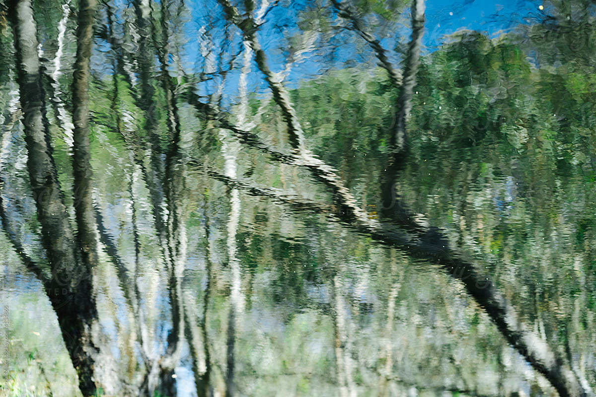 Water reflections in the Australian Bush