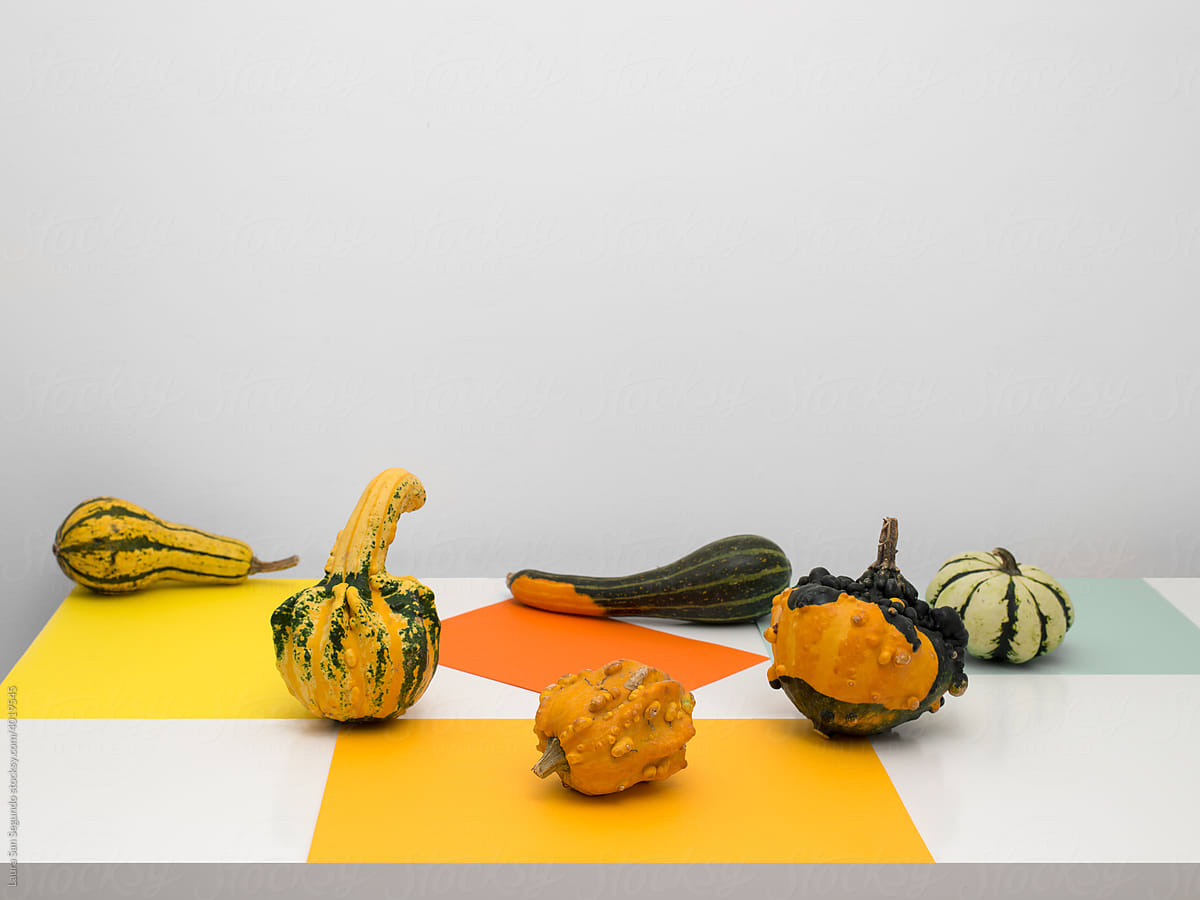 Minimalist still life with a lot of different pumpkins