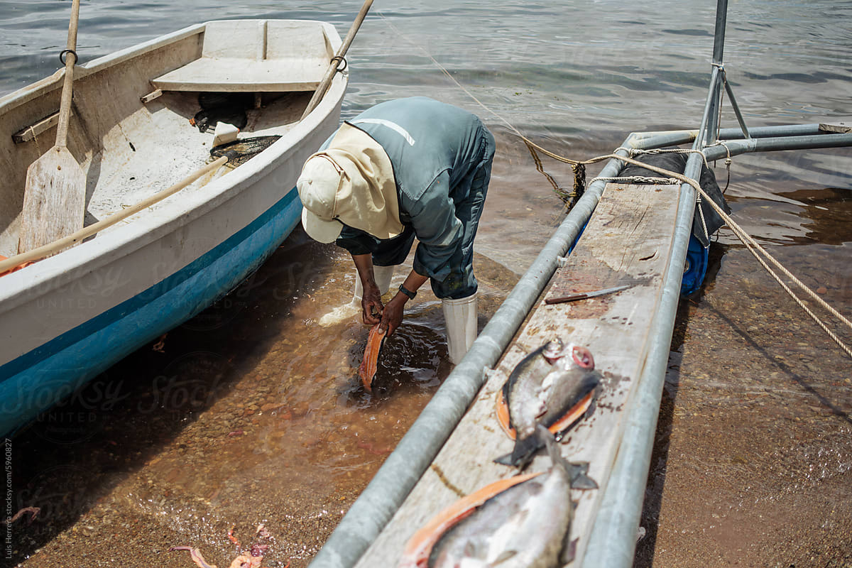 traditional Fisherman Cleaning Fish by Hand