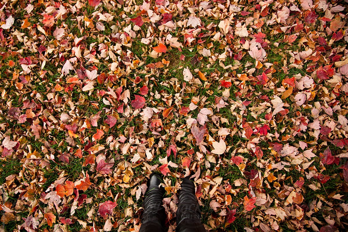 Feet standing on a red and orange leaf-covered lawn