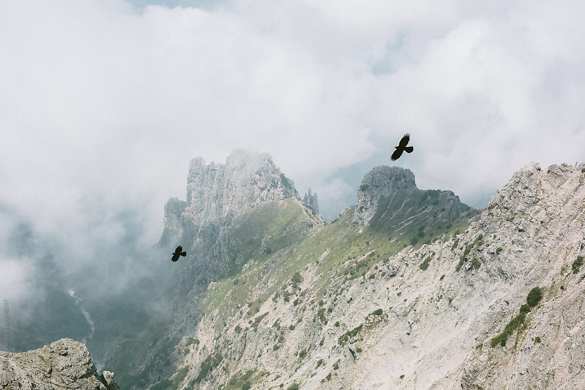 Two birds flying on top of the mountain