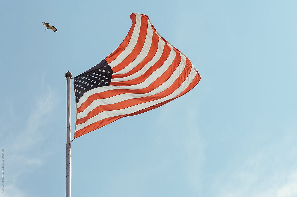 American flag against a blue sky with a soaring bird of prey