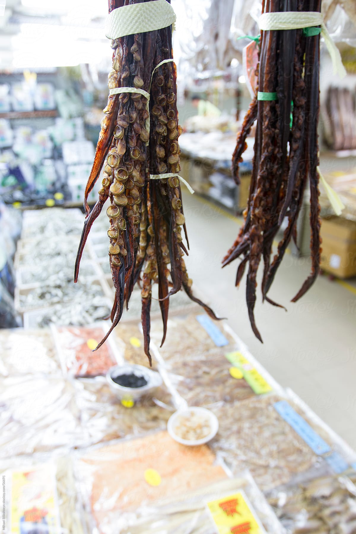Dried octopus arms for sale at Asian fish market