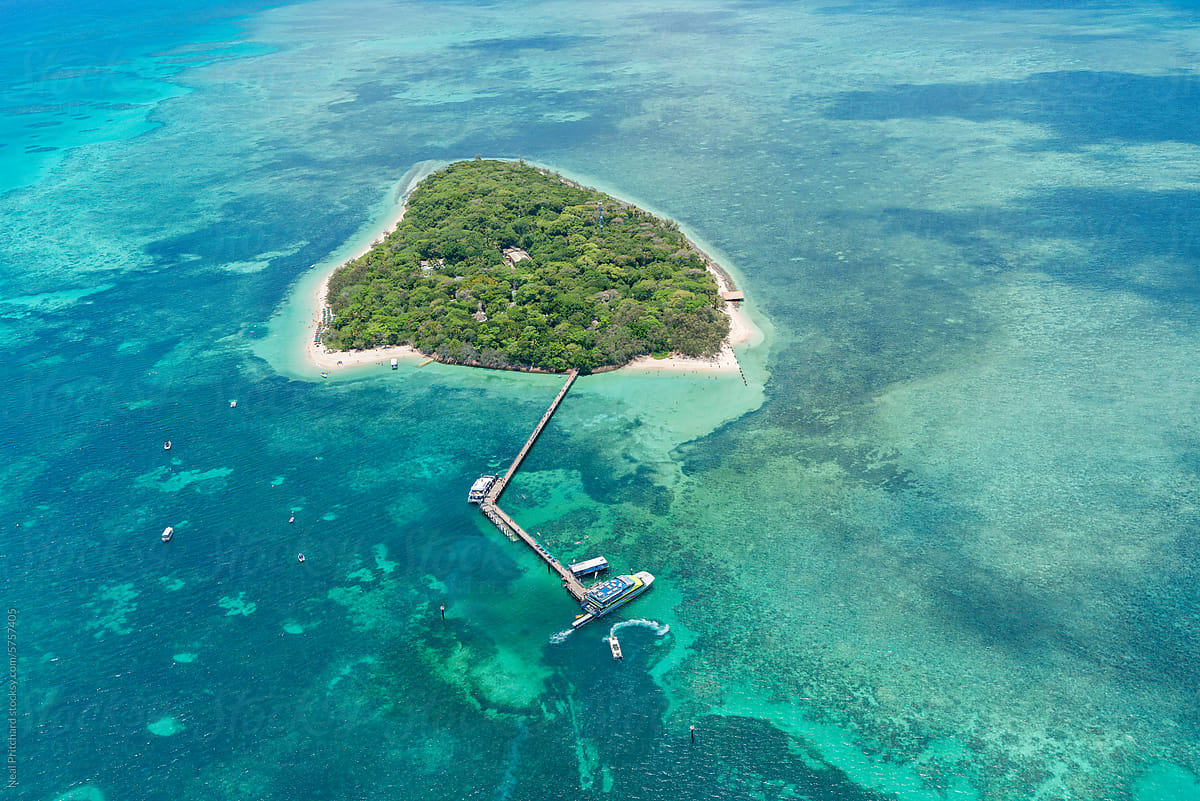 Low Isles Island in the Great Barrier Reef