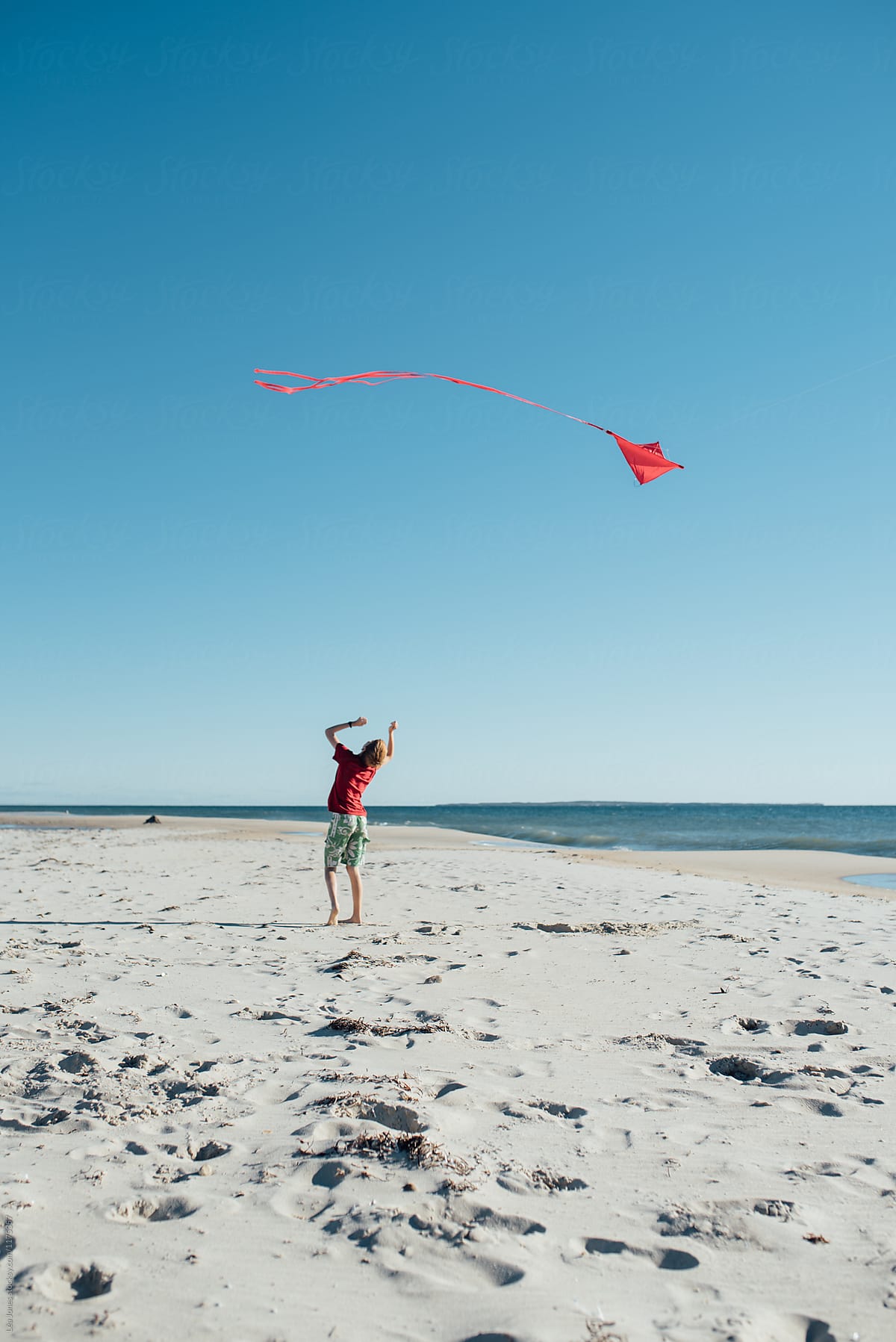 boy flying a kite on the beach