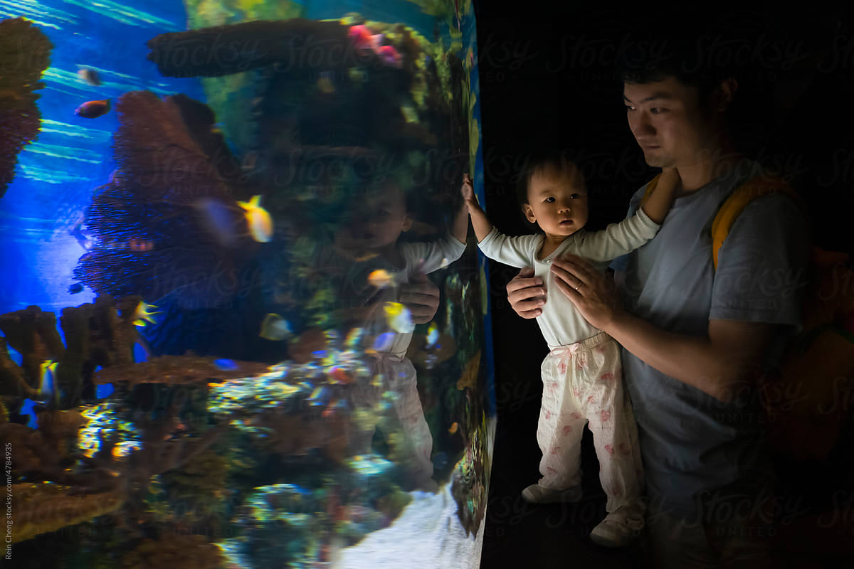 Dad holding the baby in front of the big fish tank