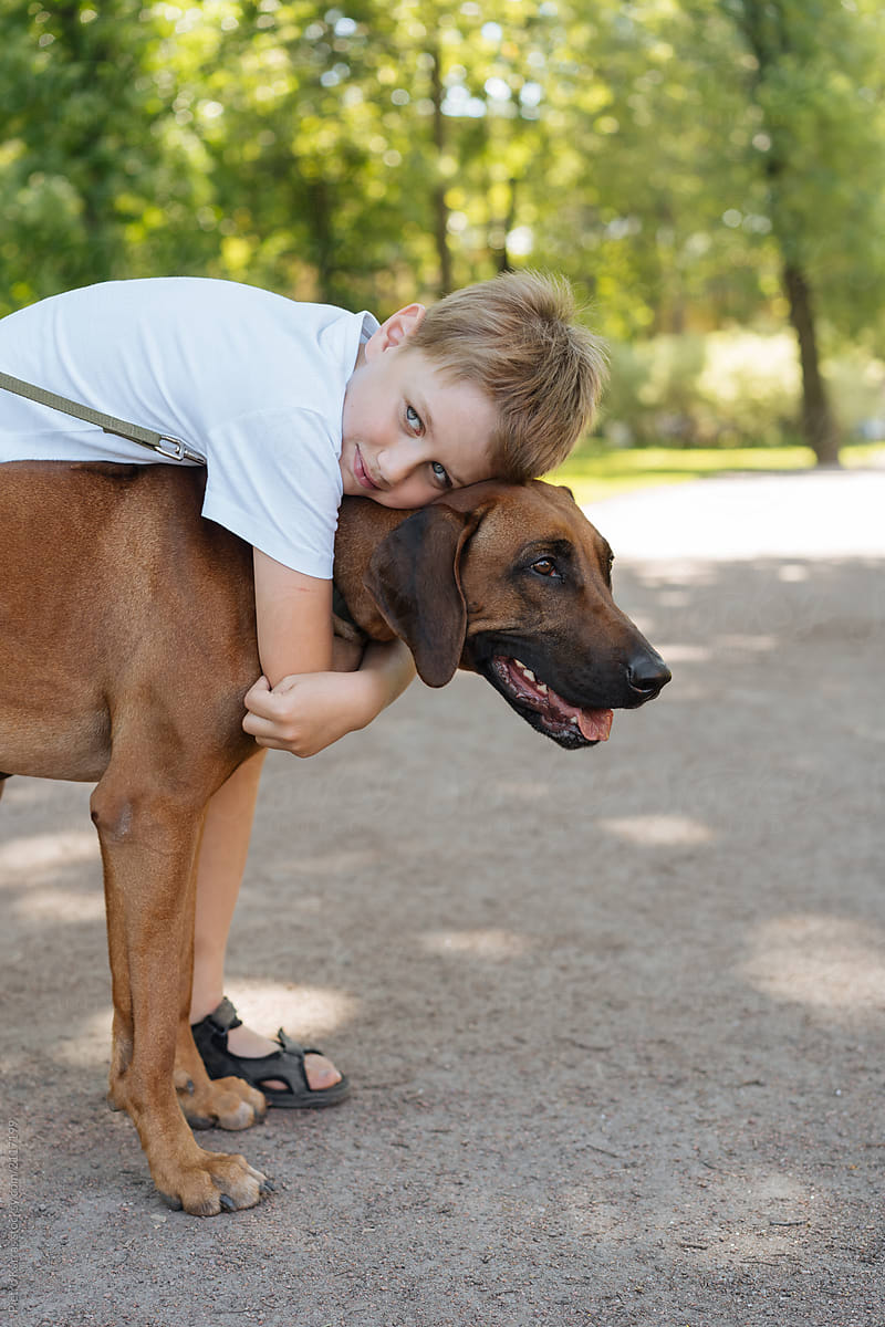 Boy embracing big brown dog