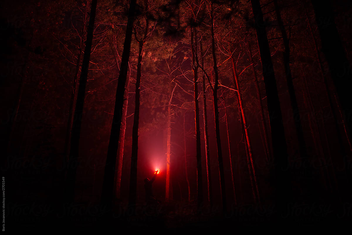 Man in dark woods