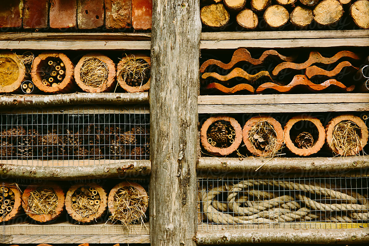 Detail of a bug hotel