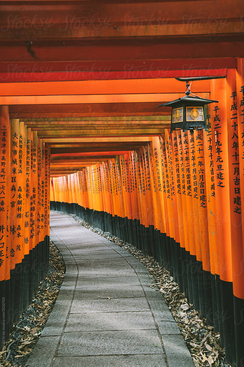 shinto shrine in kyoto