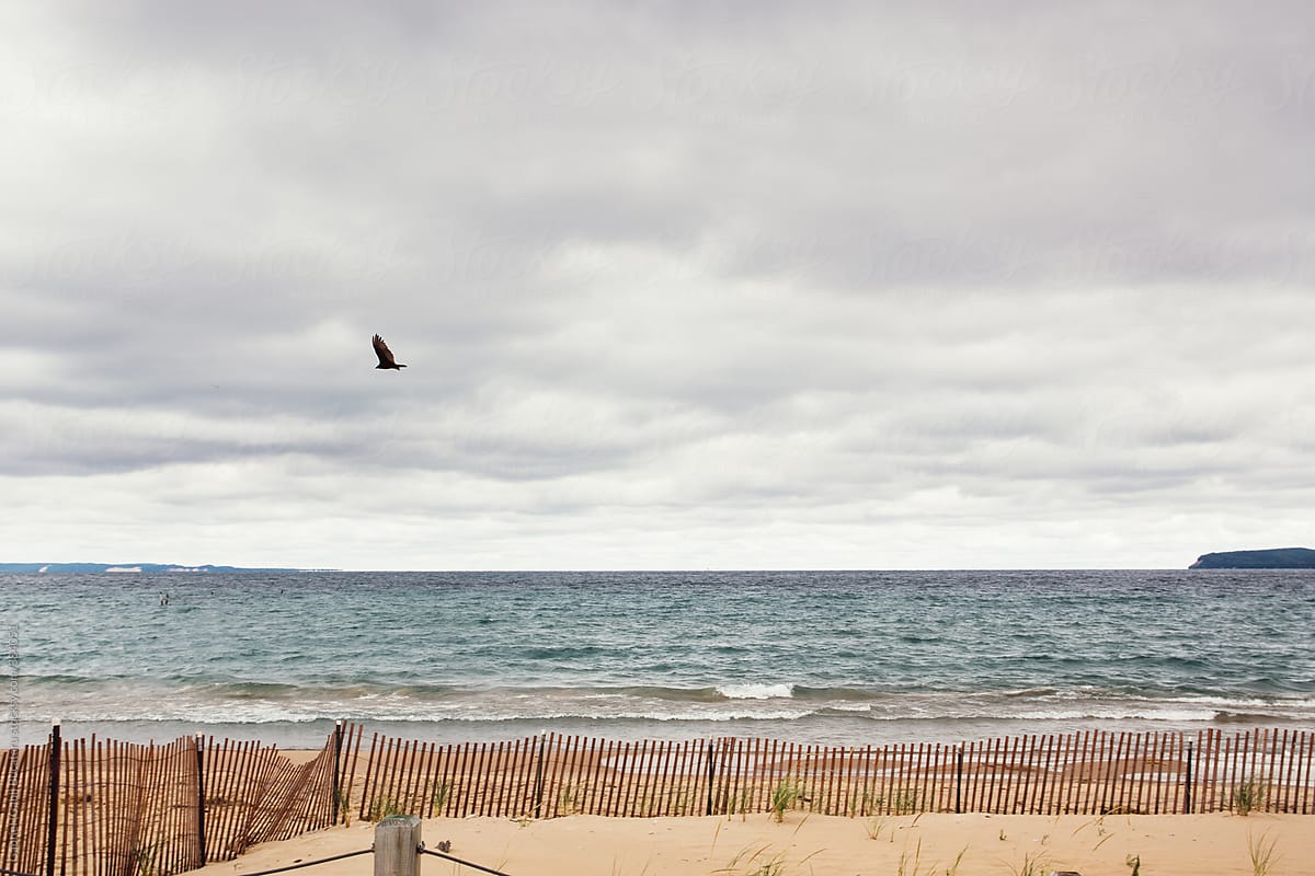 Bird flying across a body of water on a cloudy day