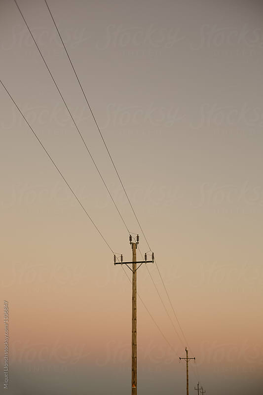 Power lines and  poles at dawn