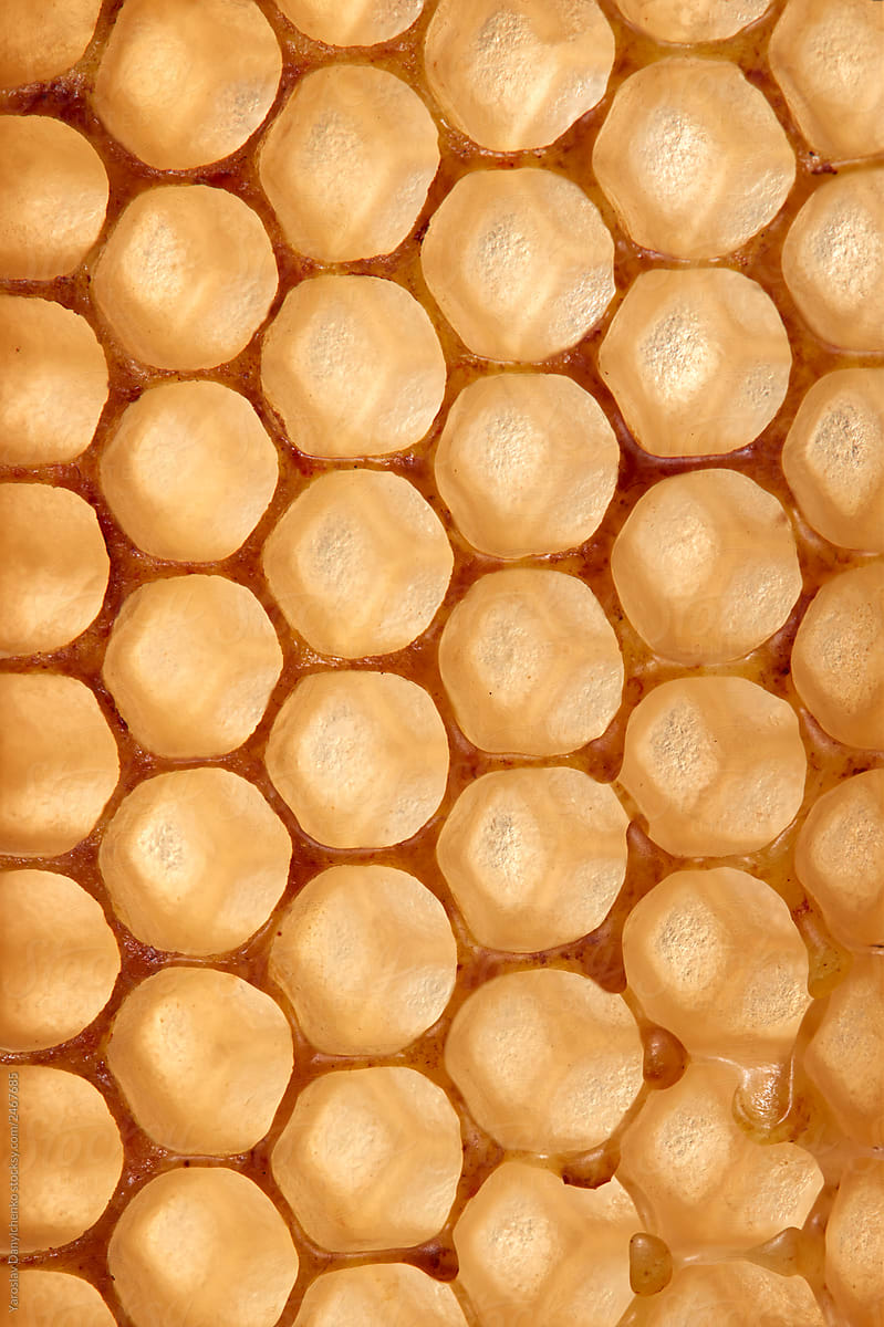 Background made of wax honeycomb filled with organic honey. Macro photo. Flat lay